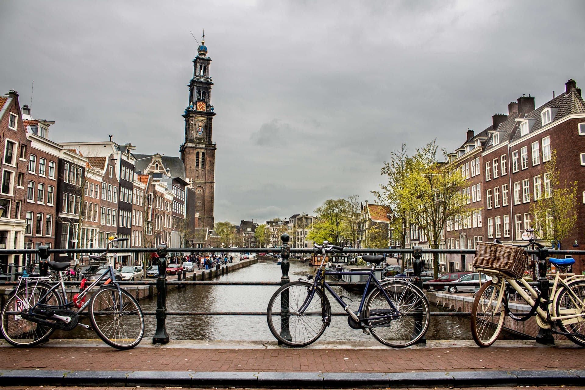 Illustratie van webshop laten maken in Groningen